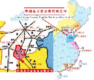 枣强县方泰皮草有限公司图片